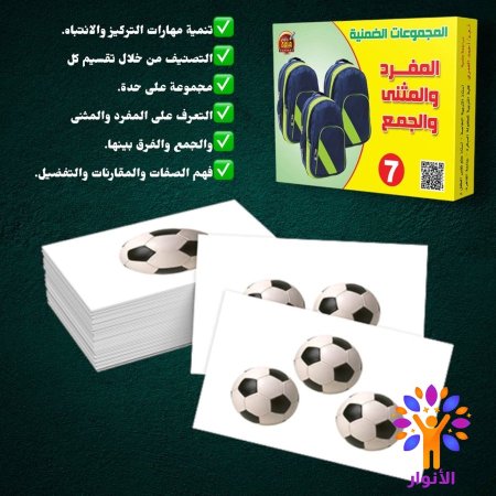 7- المفرد والمثنى والجمع