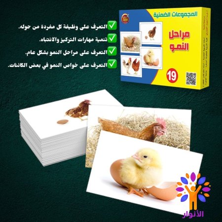 19- مراحل النمو