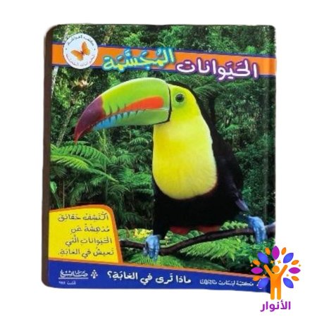 ماذا ترى في الغابة ؟