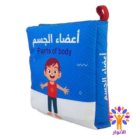 اعضاء الجسم - ولد