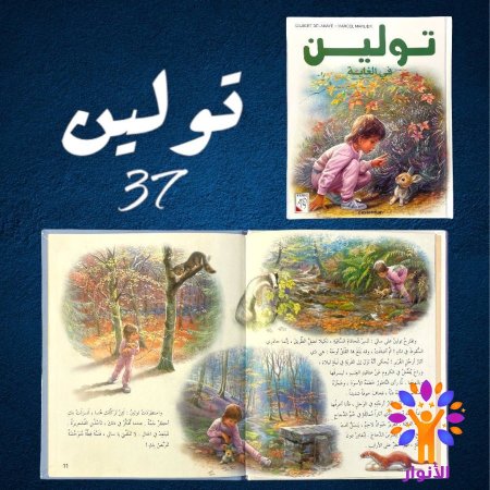 37- تولين في الغابة