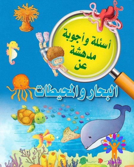 البحار والمحيطات