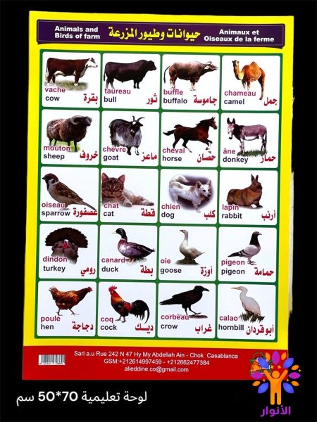 حيوانات وطيور المزرعة