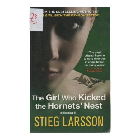 The Girl Who Kicked the Hornets' Nest