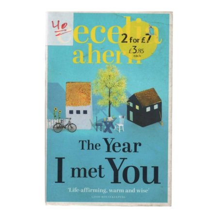 The Year  I met You
